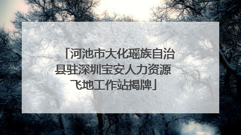 河池市大化瑶族自治县驻深圳宝安人力资源飞地工作站揭牌
