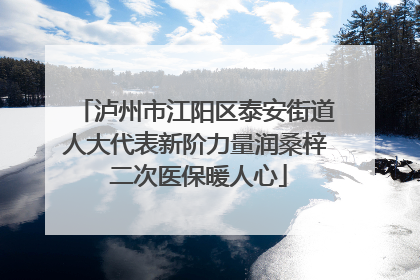 泸州市江阳区泰安街道人大代表新阶力量润桑梓 二次医保暖人心
