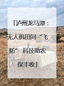 泸州龙马潭：无人机田间“飞防” 科技助农保丰收