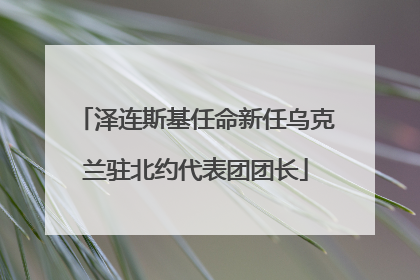 泽连斯基任命新任乌克兰驻北约代表团团长