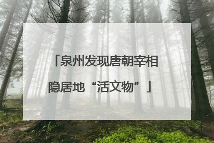 泉州发现唐朝宰相隐居地“活文物”