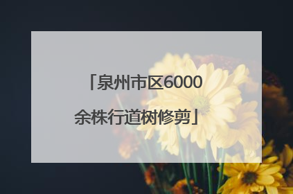 泉州市区6000余株行道树修剪