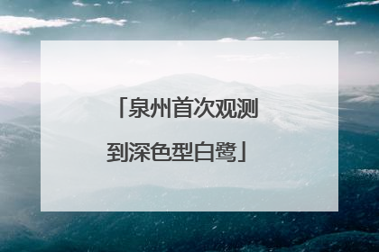 泉州首次观测到深色型白鹭