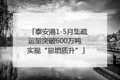 泰安港1-5月集疏运量突破600万吨 实现“量增质升”