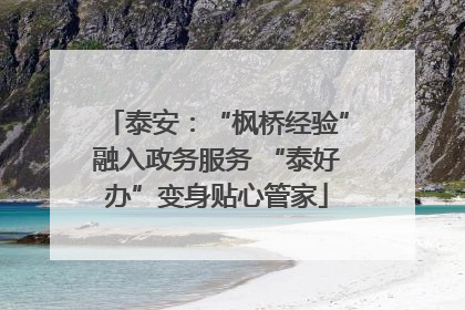 泰安：“枫桥经验”融入政务服务 “泰好办”变身贴心管家