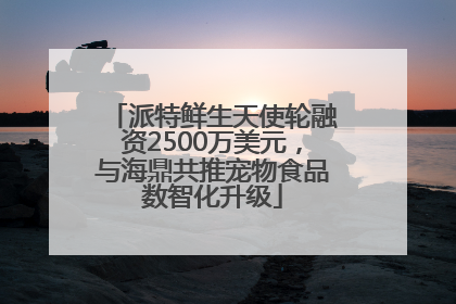 派特鲜生天使轮融资2500万美元，与海鼎共推宠物食品数智化升级