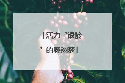 活力“银龄”的翱翔梦