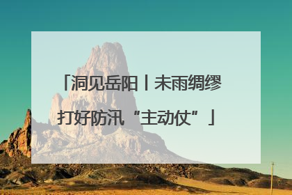 洞见岳阳丨未雨绸缪 打好防汛“主动仗”