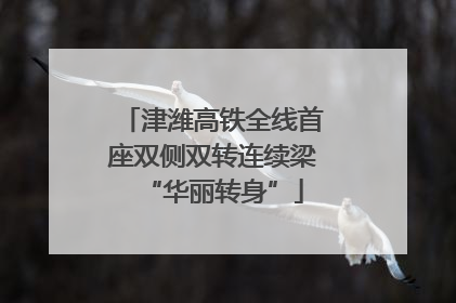 津潍高铁全线首座双侧双转连续梁“华丽转身”