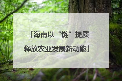 海南以“链”提质 释放农业发展新动能