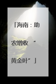 海南：助农增收 “黄金叶”
