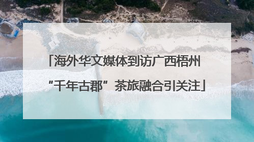 海外华文媒体到访广西梧州 “千年古郡”茶旅融合引关注