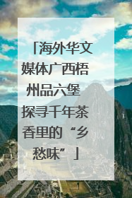 海外华文媒体广西梧州品六堡 探寻千年茶香里的“乡愁味”