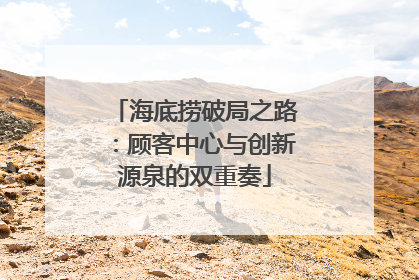 海底捞破局之路：顾客中心与创新源泉的双重奏