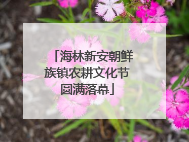 海林新安朝鲜族镇农耕文化节圆满落幕