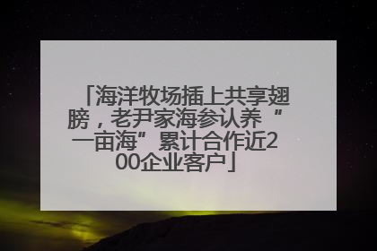 海洋牧场插上共享翅膀，老尹家海参认养“一亩海”累计合作近200企业客户