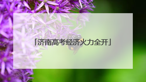 济南高考经济火力全开