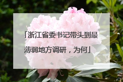 浙江省委书记带头到最薄弱地方调研，为何