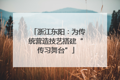 浙江东阳：为传统营造技艺搭建“传习舞台”