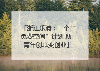 浙江乐清：一个“免费空间”计划 助青年创意变创业