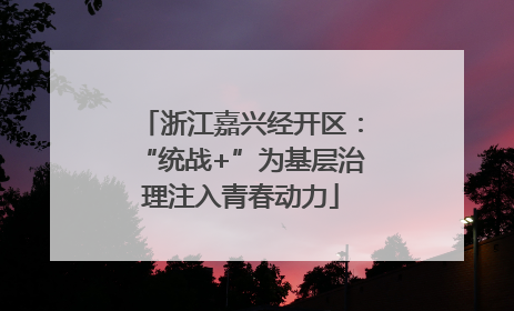 浙江嘉兴经开区：“统战+”为基层治理注入青春动力