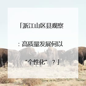 浙江山区县观察：高质量发展何以“个性化”？