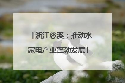 浙江慈溪：推动水家电产业蓬勃发展