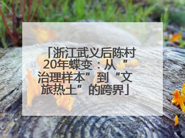 浙江武义后陈村20年蝶变：从“治理样本”到“文旅热土”的跨界