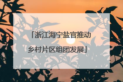 浙江海宁盐官推动乡村片区组团发展
