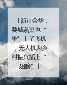 浙江金华：婺城蔬菜也“坐”上了飞机，无人机为乡村振兴插上“翅膀”