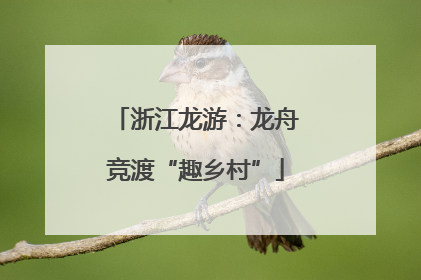 浙江龙游：龙舟竞渡“趣乡村”