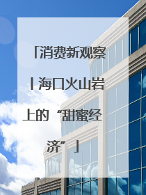 消费新观察丨海口火山岩上的“甜蜜经济”