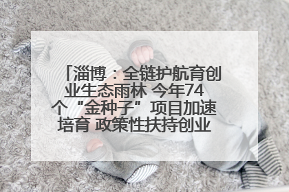 淄博：全链护航育创业生态雨林 今年74个“金种子”项目加速培育 政策性扶持创业9754人