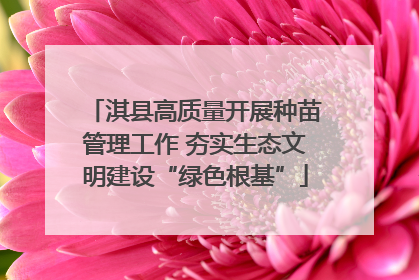 淇县高质量开展种苗管理工作 夯实生态文明建设“绿色根基”