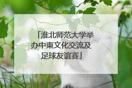 淮北师范大学举办中柬文化交流及足球友谊赛