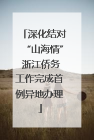 深化结对“山海情” 浙江侨务工作完成首例异地办理
