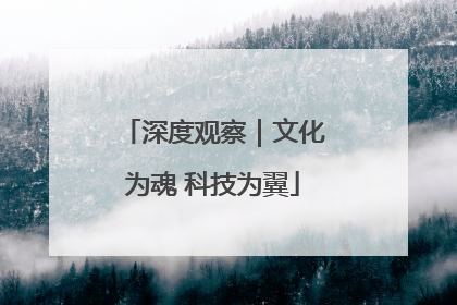 深度观察｜文化为魂 科技为翼
