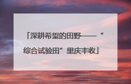 深耕希望的田野——“综合试验田”里庆丰收