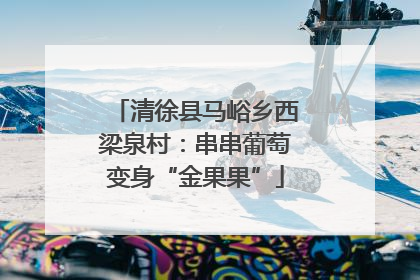 清徐县马峪乡西梁泉村：串串葡萄变身“金果果”