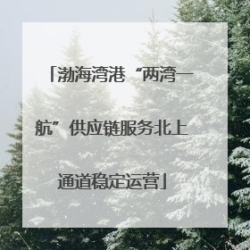 渤海湾港“两湾一航”供应链服务北上通道稳定运营