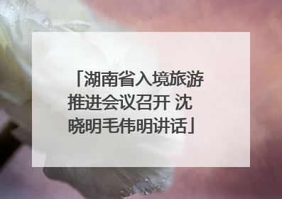 湖南省入境旅游推进会议召开 沈晓明毛伟明讲话