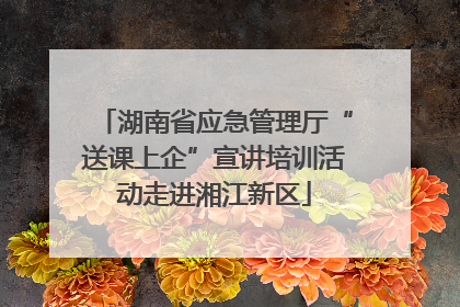 湖南省应急管理厅“送课上企”宣讲培训活动走进湘江新区