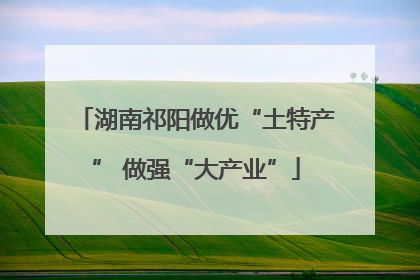 湖南祁阳做优“土特产” 做强“大产业”