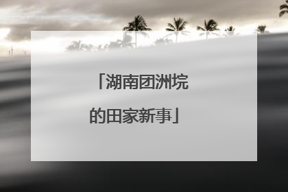 湖南团洲垸的田家新事