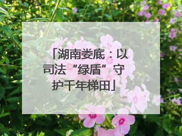 湖南娄底：以司法“绿盾”守护千年梯田