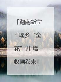 湖南新宁：瑶乡“金花”开 增收画卷来