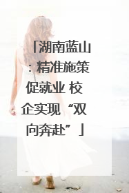 湖南蓝山：精准施策促就业 校企实现“双向奔赴”