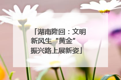 湖南隆回：文明新风生“黄金” 振兴路上展新姿