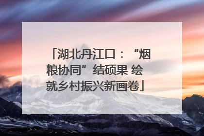 湖北丹江口：“烟粮协同”结硕果 绘就乡村振兴新画卷