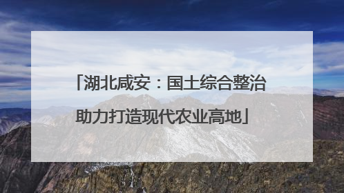 湖北咸安：国土综合整治助力打造现代农业高地